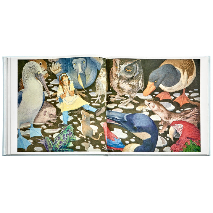 Alice's Adventures in Wonderland Graphic Image Books Alice's Adventures in Wonderland Bonjour Fete - Party Supplies