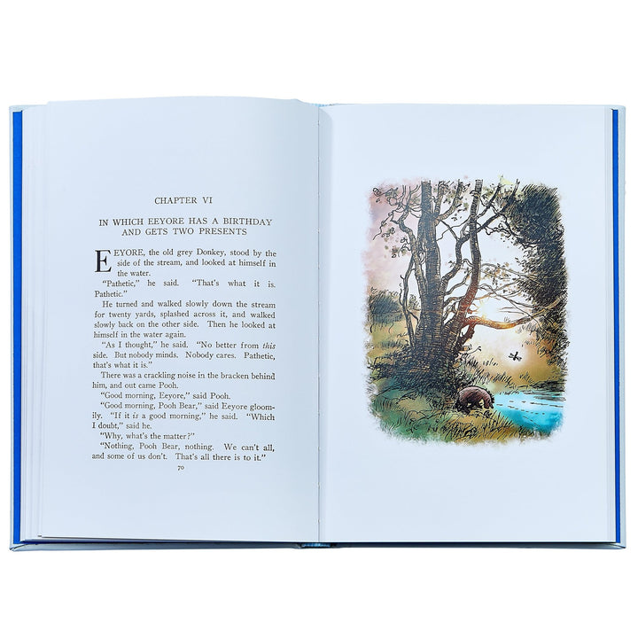 Winnie The Pooh: The Classic Edition Graphic Image Books Winnie The Pooh: The Classic Edition Bonjour Fete - Party Supplies