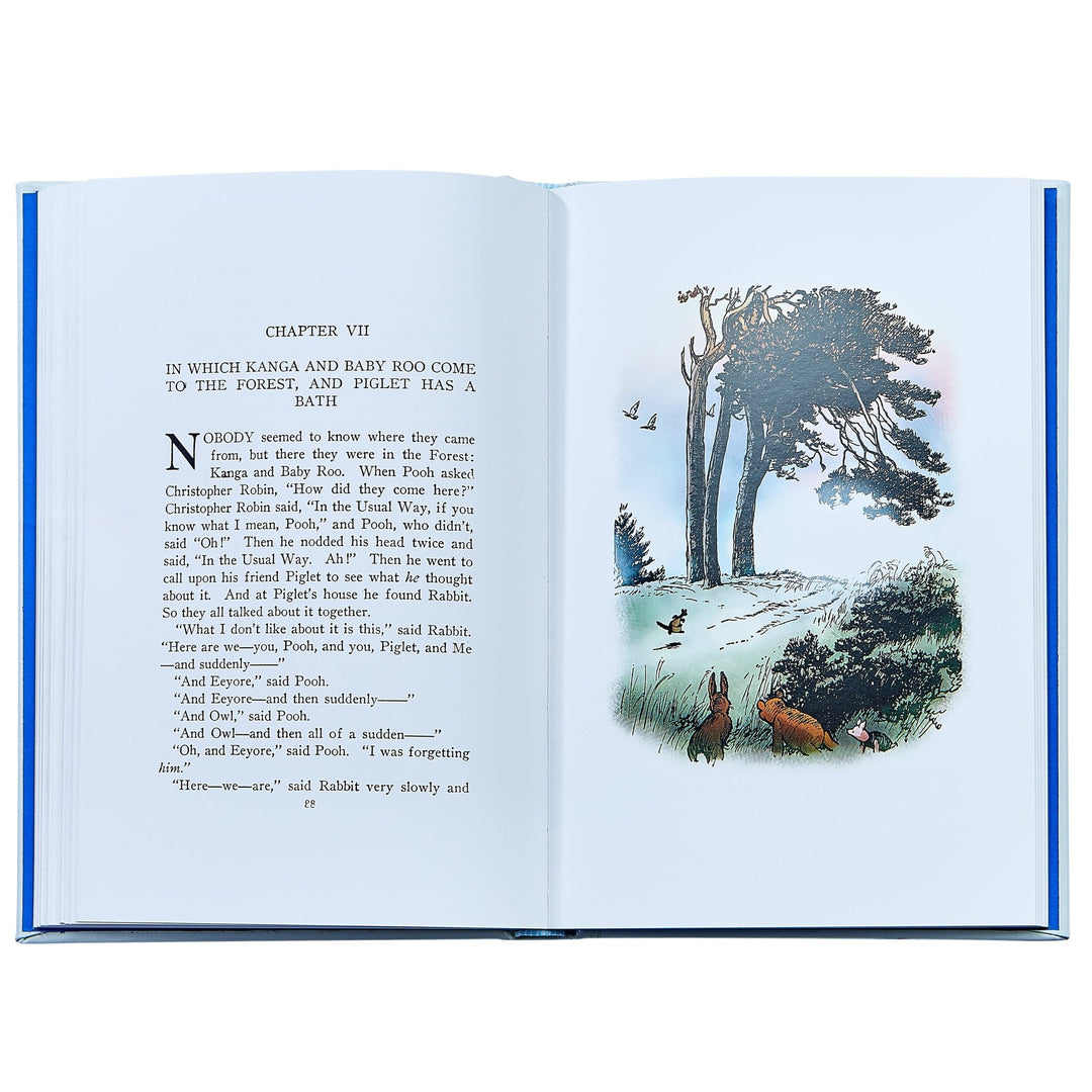 Winnie The Pooh: The Classic Edition Graphic Image Books Winnie The Pooh: The Classic Edition Bonjour Fete - Party Supplies