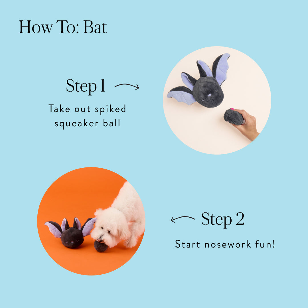Bat 2-in-1 Bounce Dog Toy