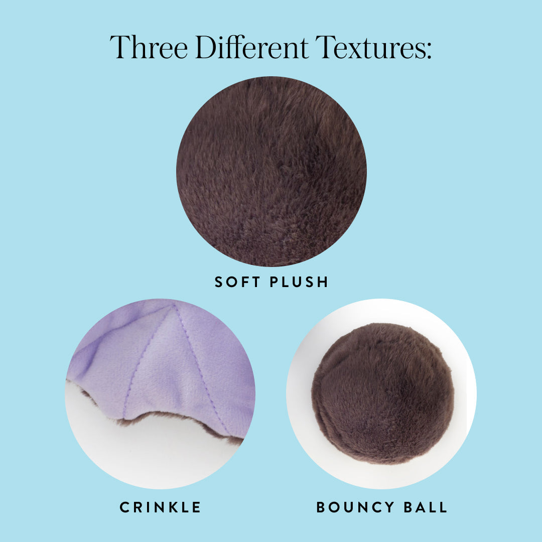 Bat 2-in-1 Bounce Dog Toy