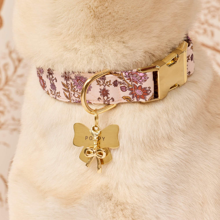 Cream dog in a mauve floral collar with a gold butterfly ID tag and the bow charm