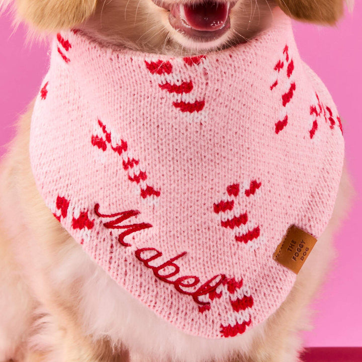 Golden dog on hot pink wearing the knit candy cane bandana with a sample name in red script