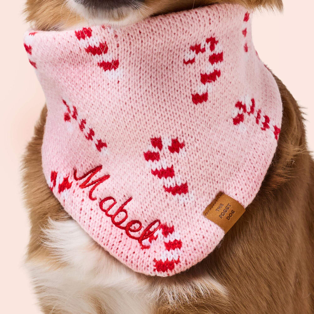 Brown dog in the pink candy cane knit bandana with a sample name stitched in red, cream backdrop