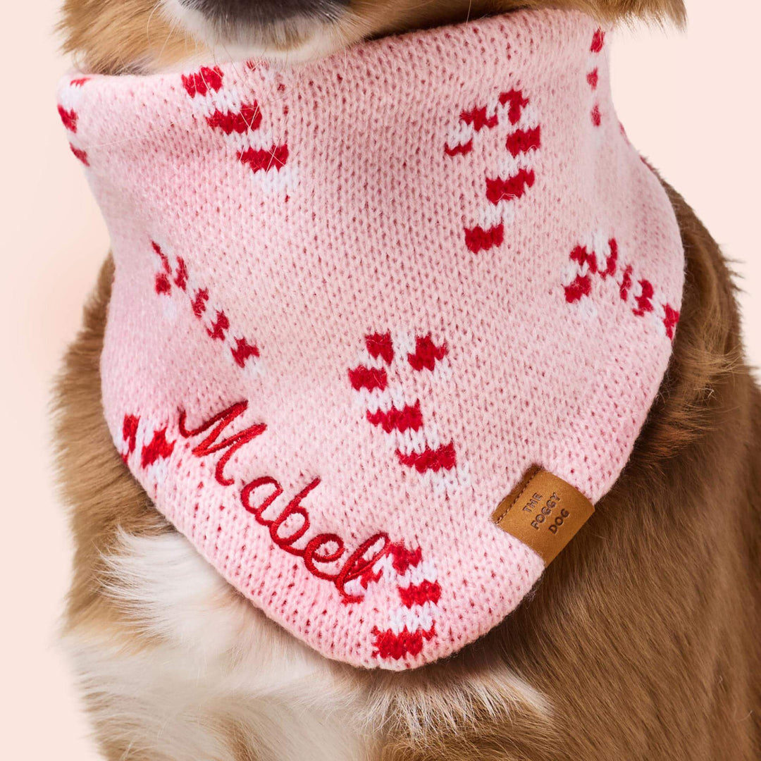 Brown dog in the pink candy cane knit bandana with a sample name stitched in red, cream backdrop