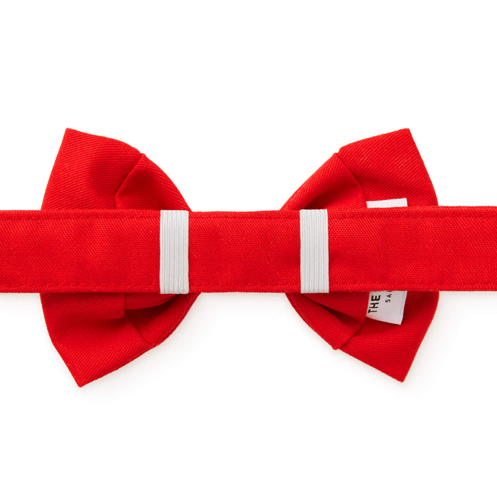 Back of a red dog bow tie showing two elastic loops holding it onto a red velvet collar.