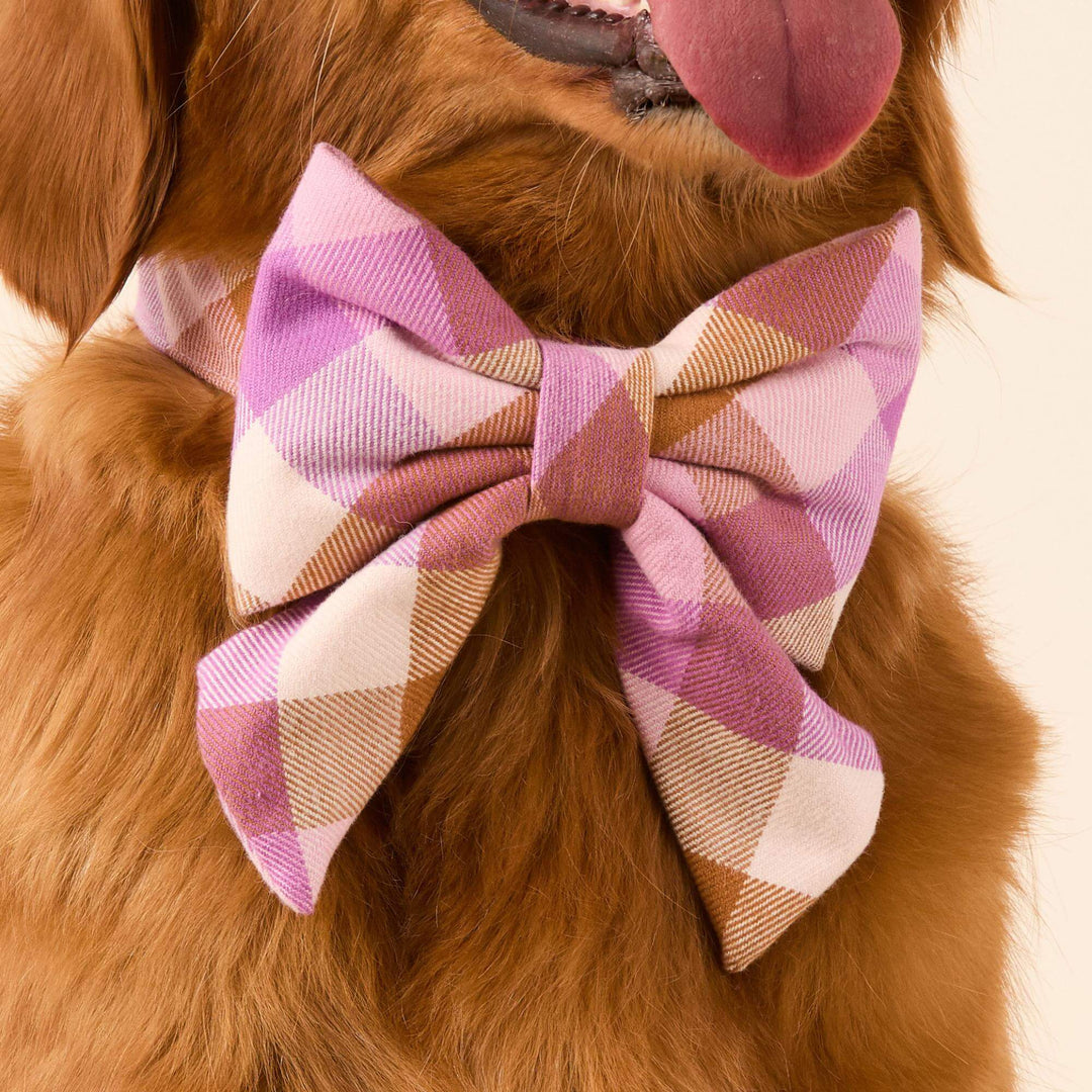 Bramble Flannel Lady Dog Bow