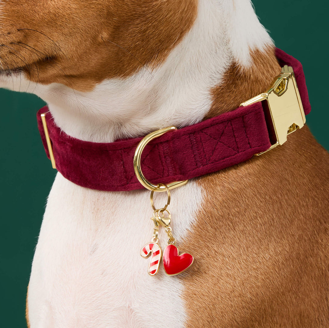 Burgundy Velvet Dog Collar