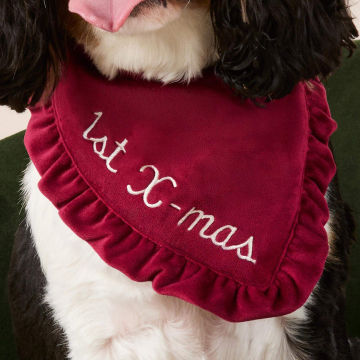 Black and white dog wearing the burgundy velvet ruffle bandana stitched with a sample 1st X-mas