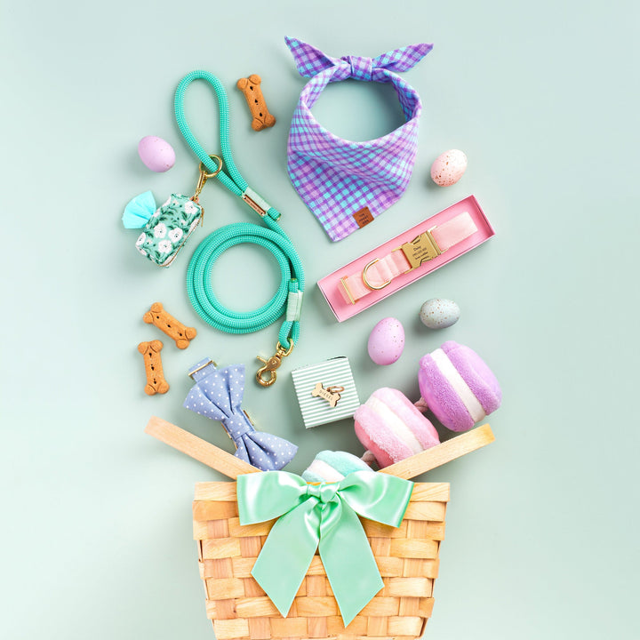 Macarons Interactive Snuffle Dog Toy - Bonjour Fête 