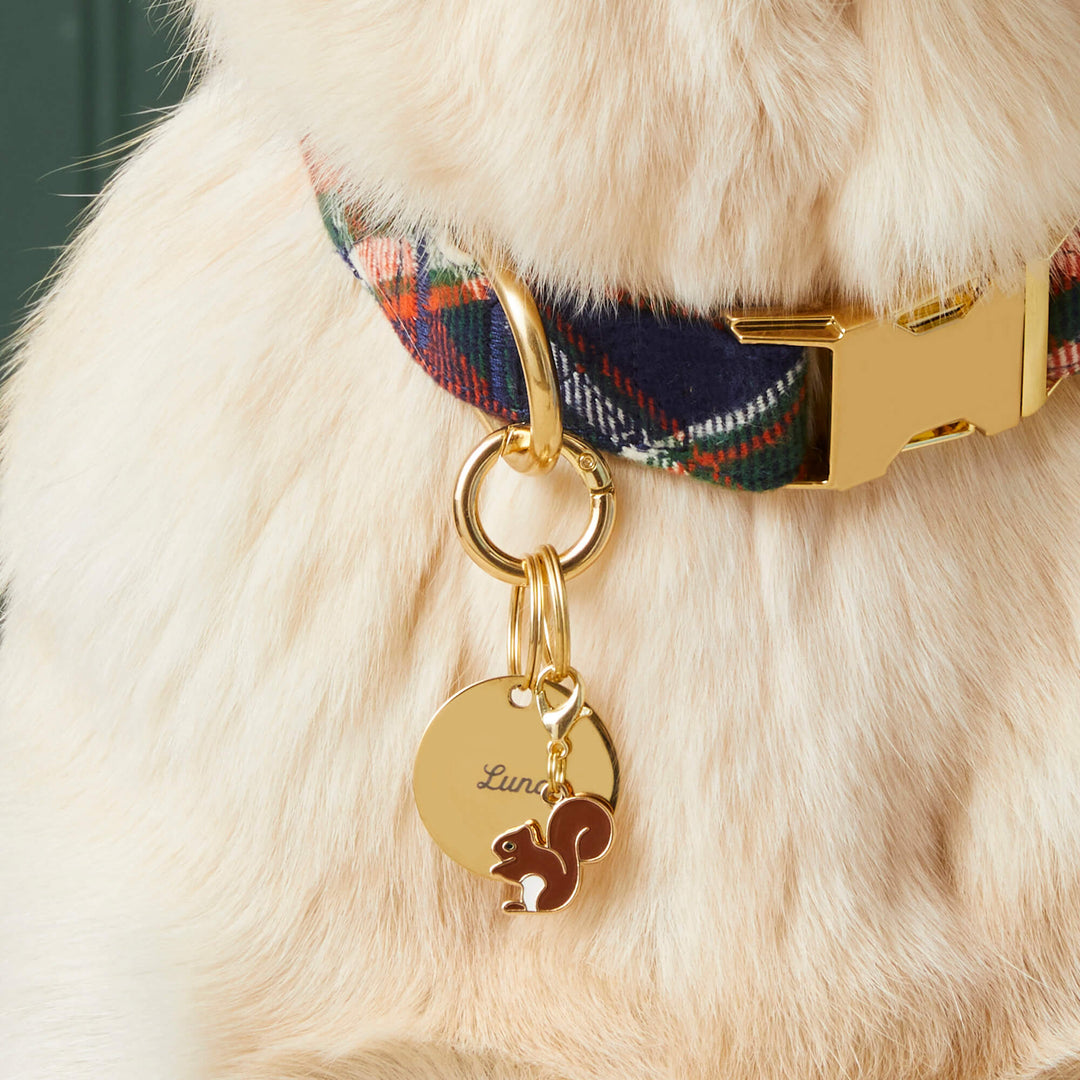 Woodland Collar Charm Set