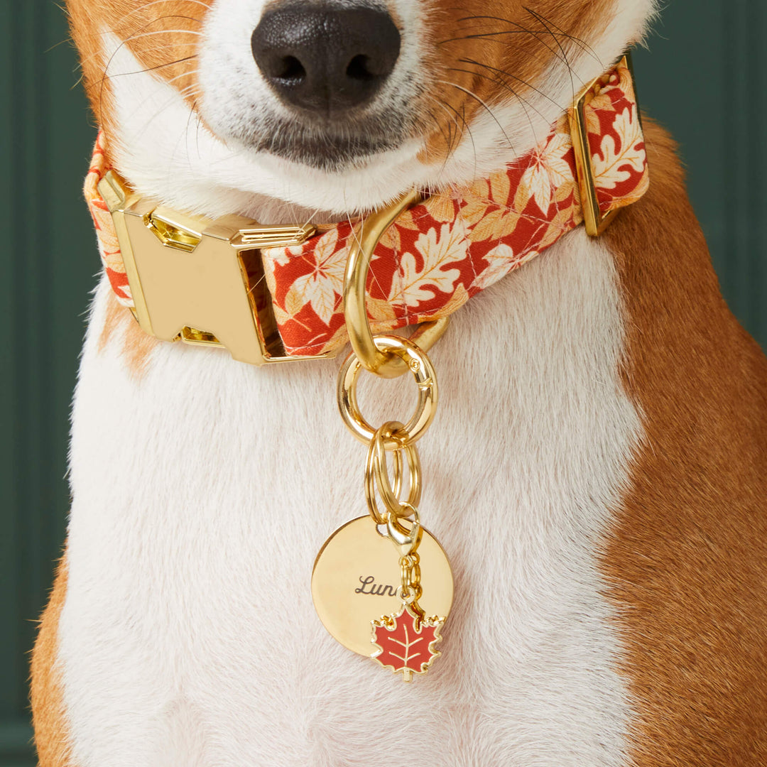 Woodland Collar Charm Set