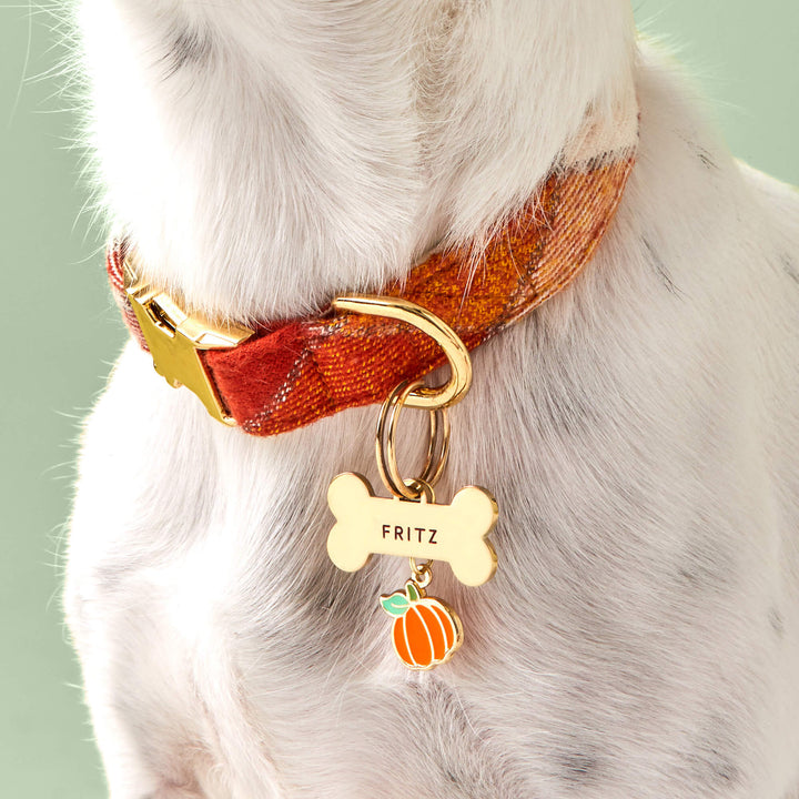 Halloween Favorites Collar Charm Set