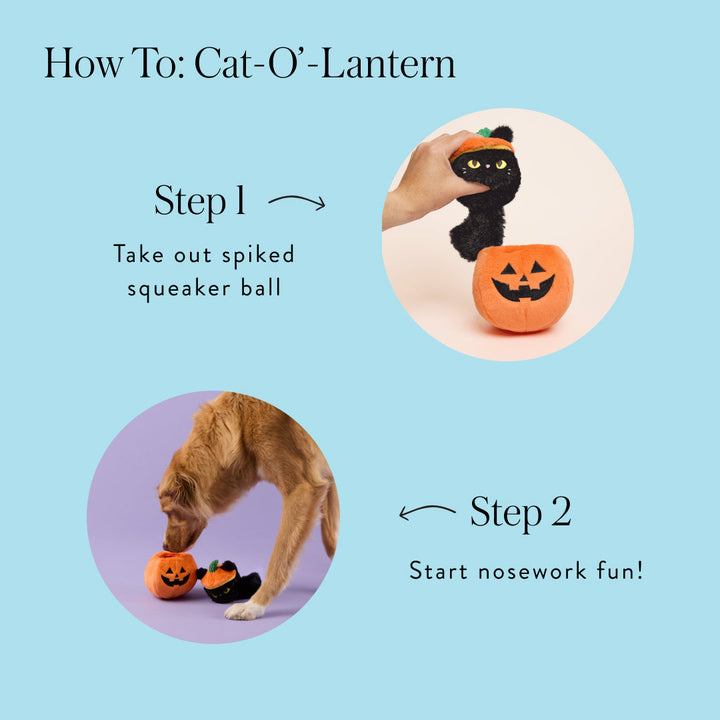 Cat-o’-Lantern 2-in-1 Bounce Dog Toy
