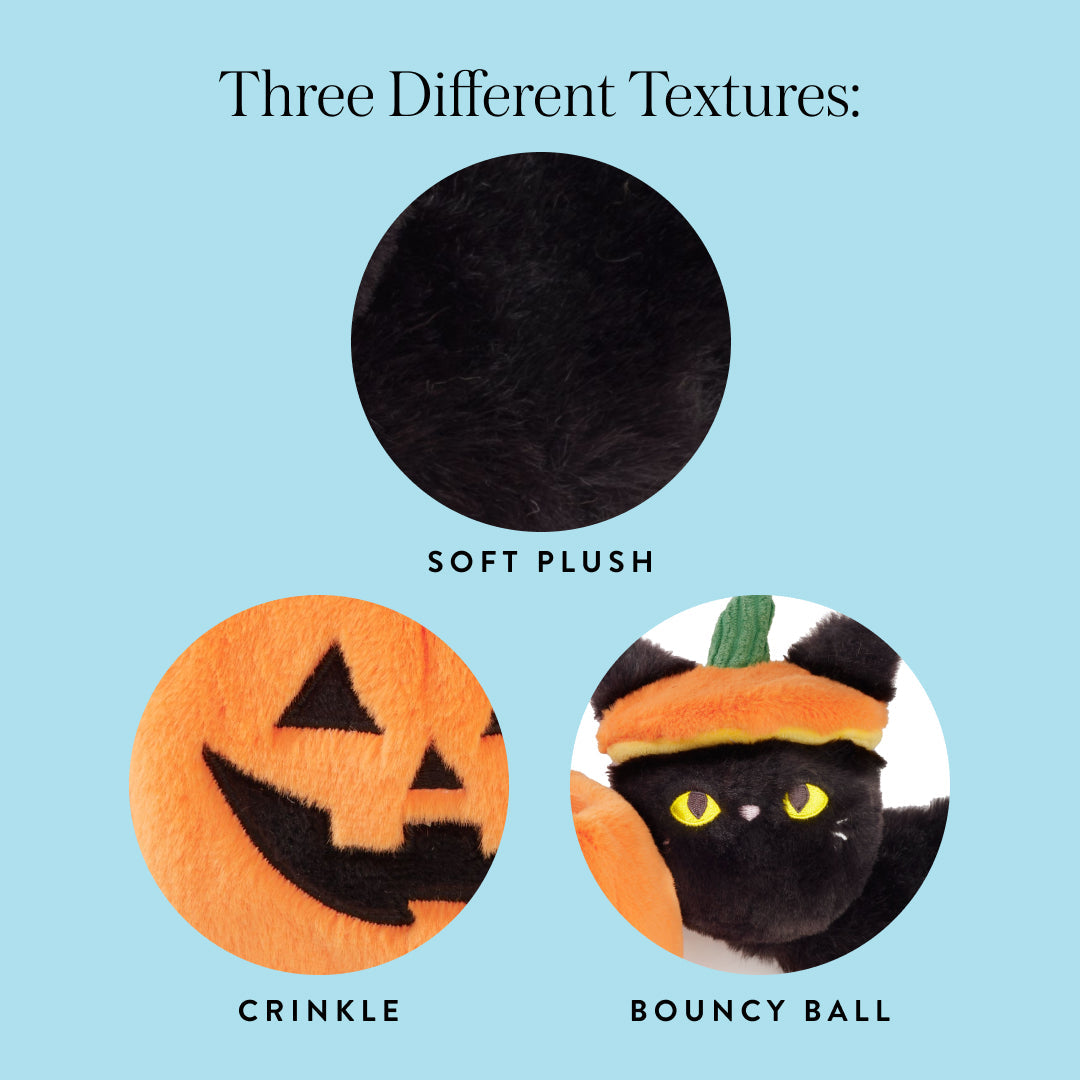 Cat-o’-Lantern 2-in-1 Bounce Dog Toy