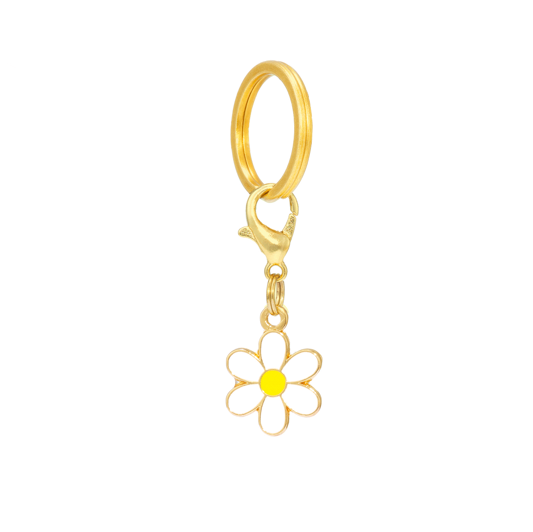Strawberry Patch Collar Charm Set