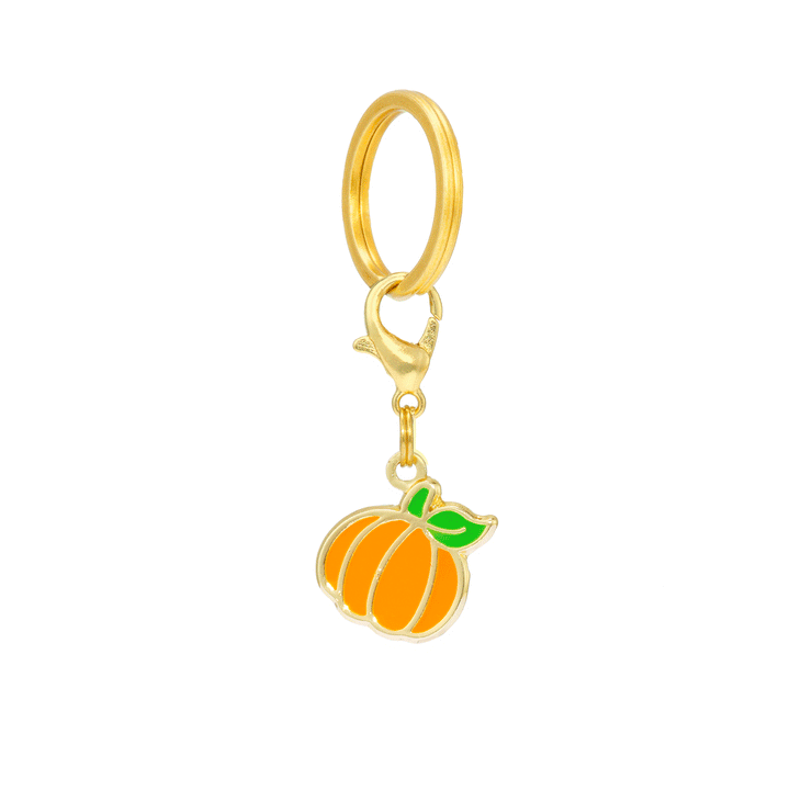Pumpkin Collar Charm