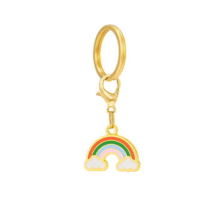 Animated view of the rainbow dog collar charm