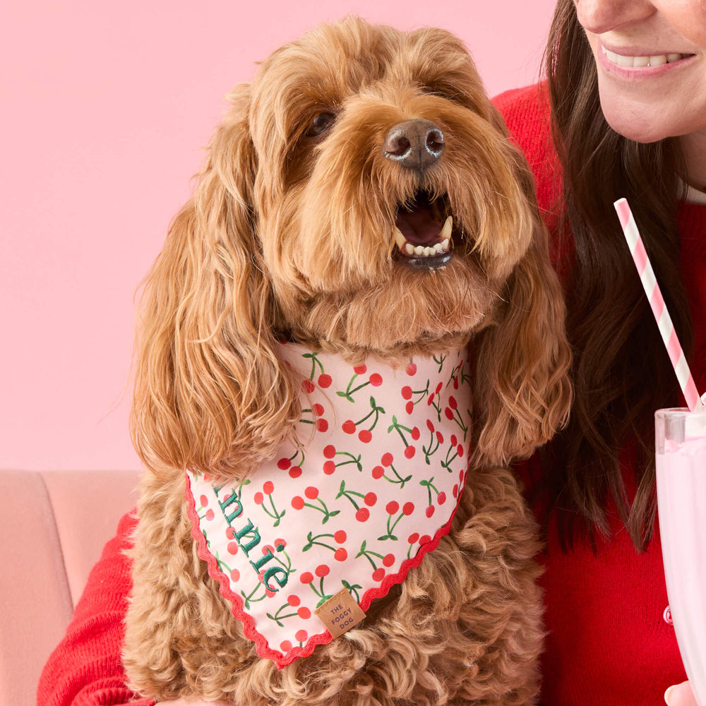Cherry Jubilee dog bandana shown flat