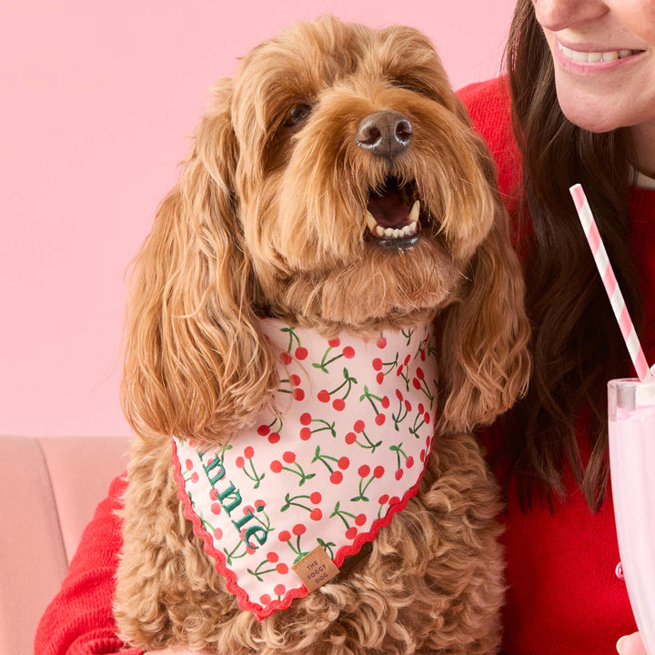 Cherry Jubilee dog bandana shown flat