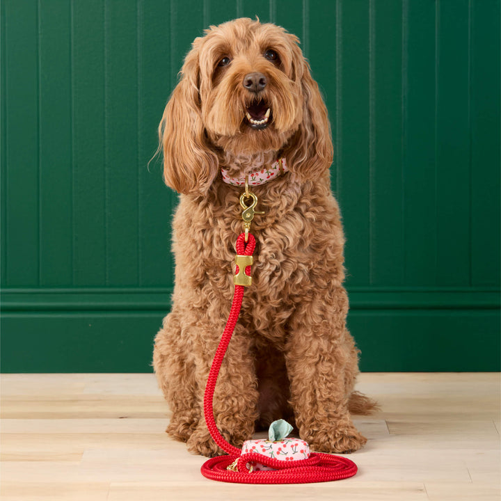 Cherry waste bag holder clipped to a matching dog leash