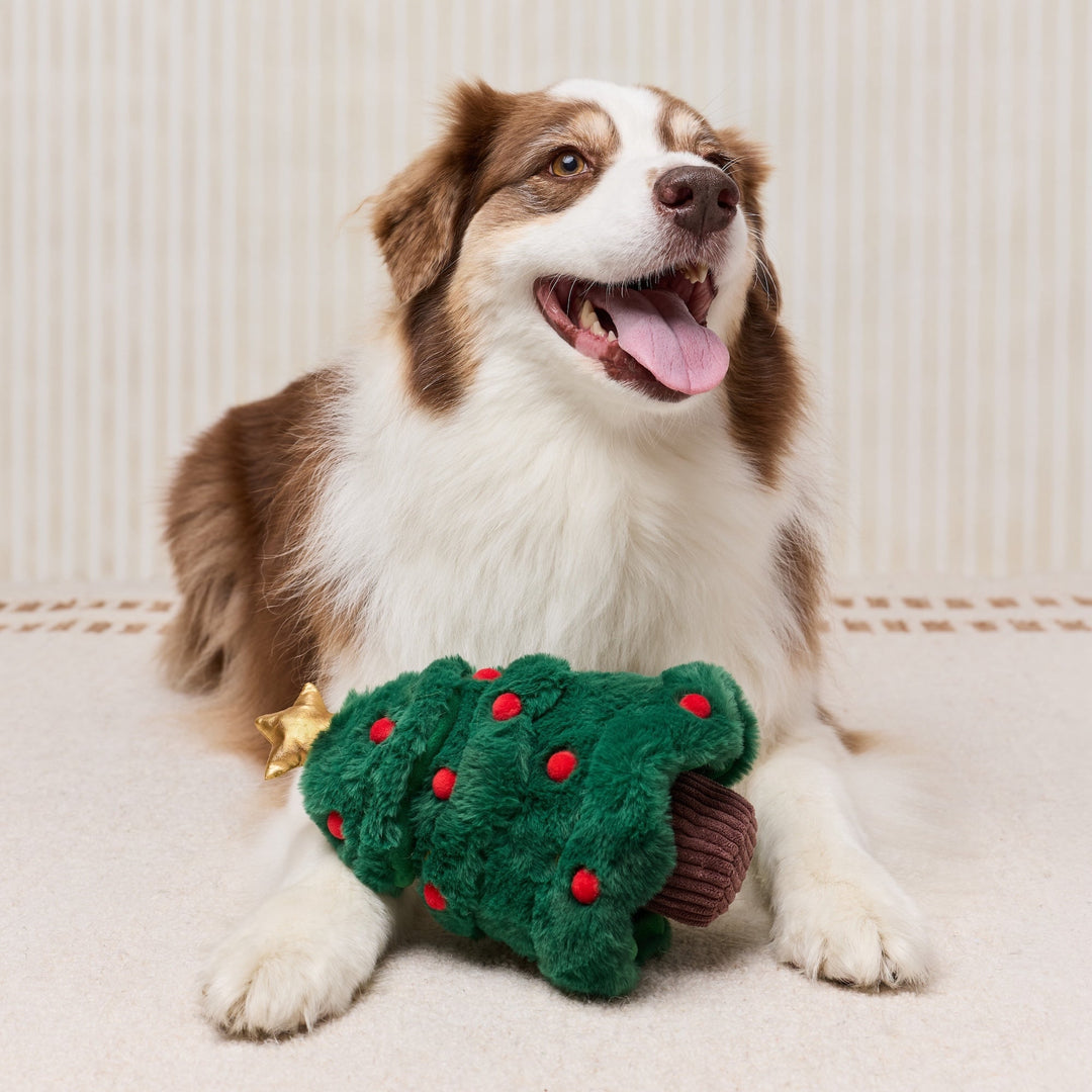 Brown-and-white dog lying with a green Christmas tree snuffle toy between its front paws.