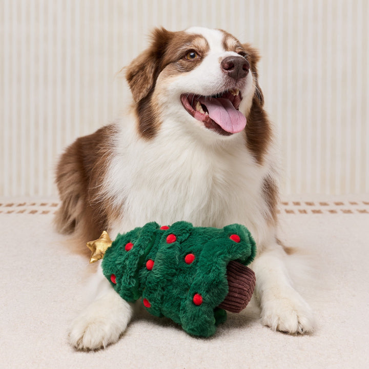Brown-and-white dog lying with a green Christmas tree snuffle toy between its front paws.