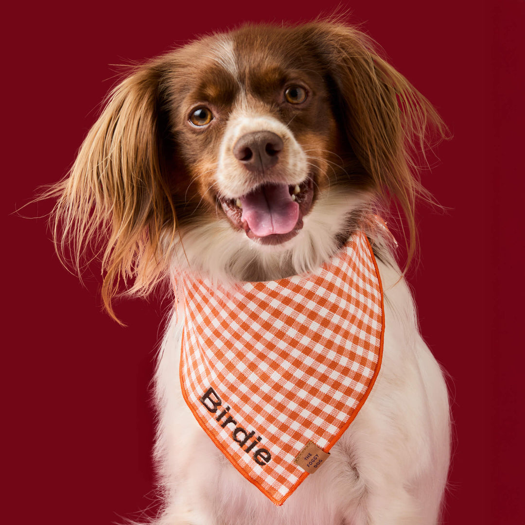 Cider Gingham Dog Bandana