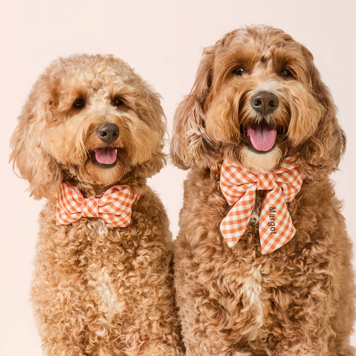 Cider Gingham Lady Dog Bow
