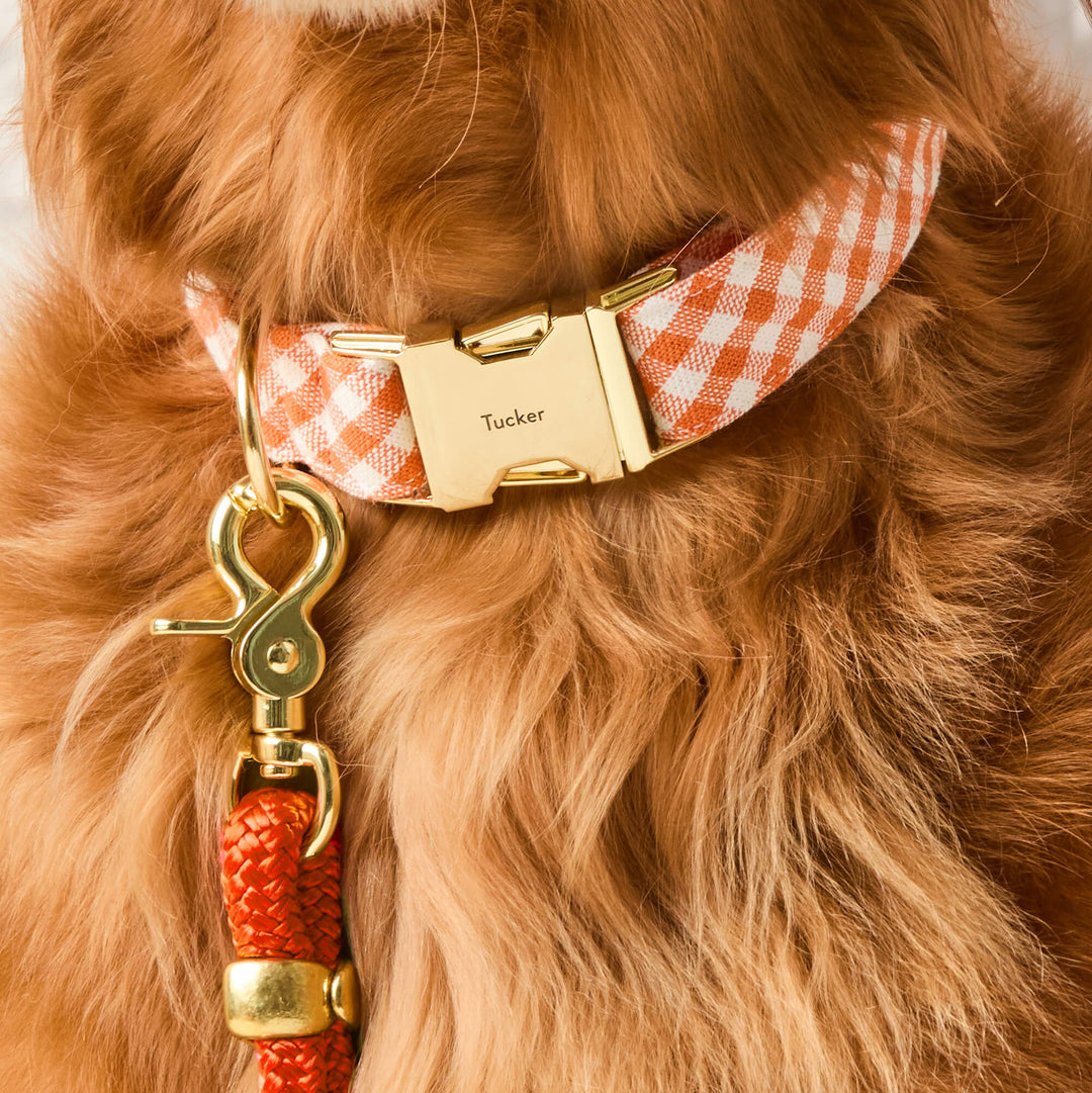 Cider Gingham Dog Collar
