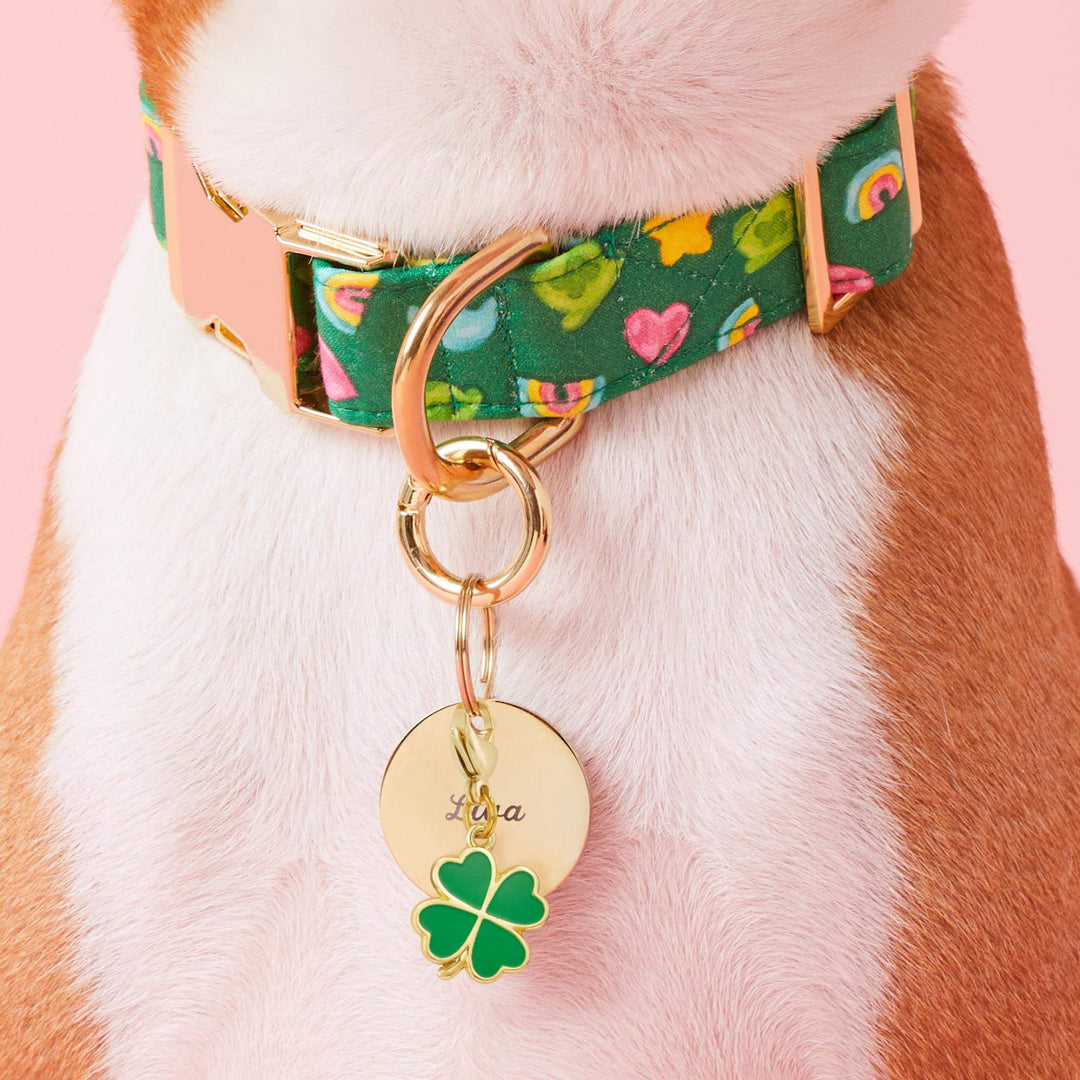 Close-up of the lucky clover dog collar charm