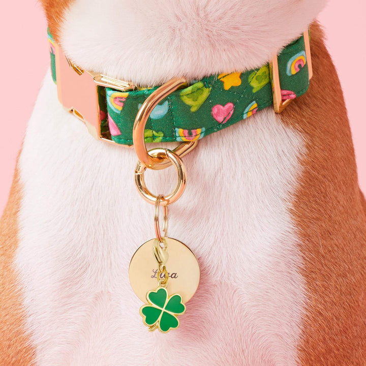 Close-up of the lucky clover dog collar charm