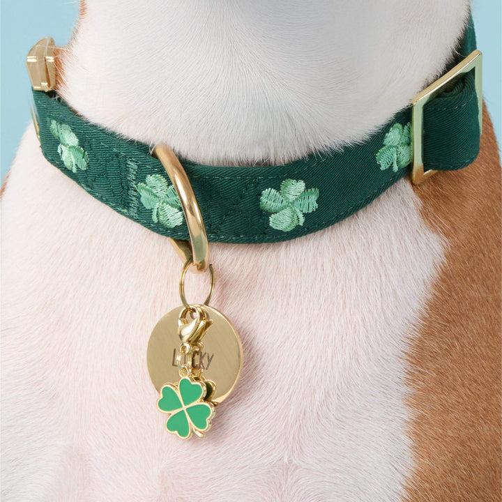 Clover charm shown with a round engraved collar tag