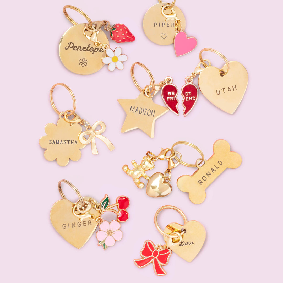 Flat lay of engraved gold pet ID tags with heart, cherry, flower, and bow charms on lilac