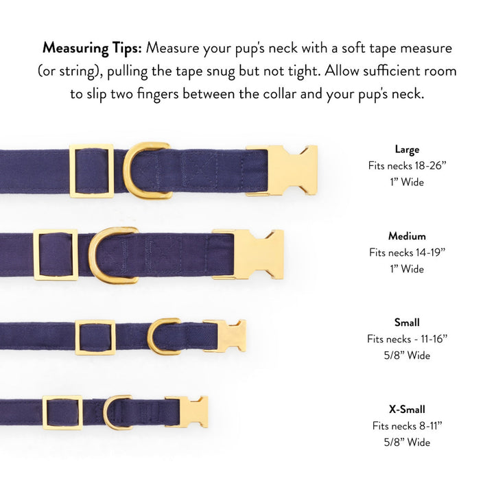 Cider Gingham Collar Walk Set