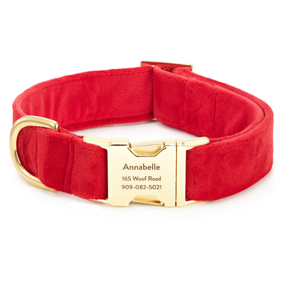 Cranberry red velvet dog collar with an engraved gold buckle, shown as an engraving example