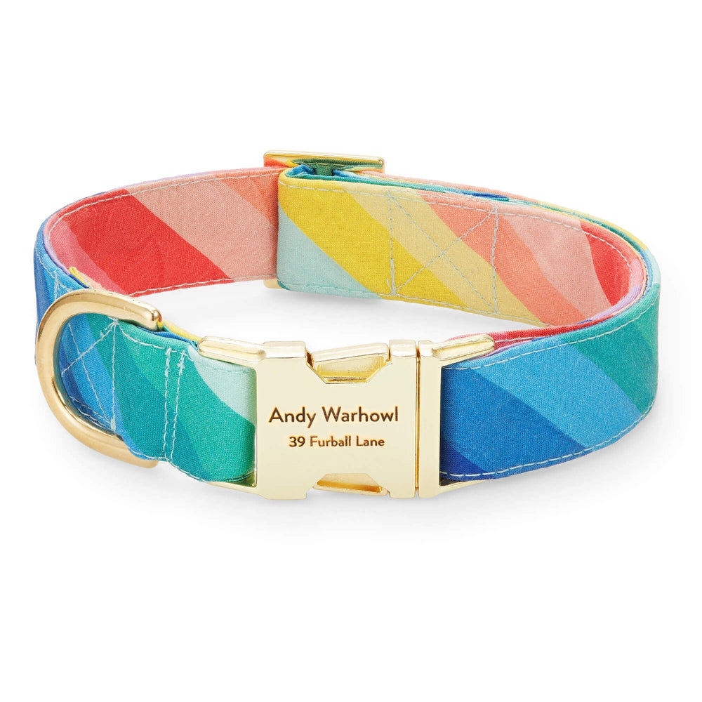 Rainbow striped dog collar with a gold buckle engraved with a sample pet name and address
