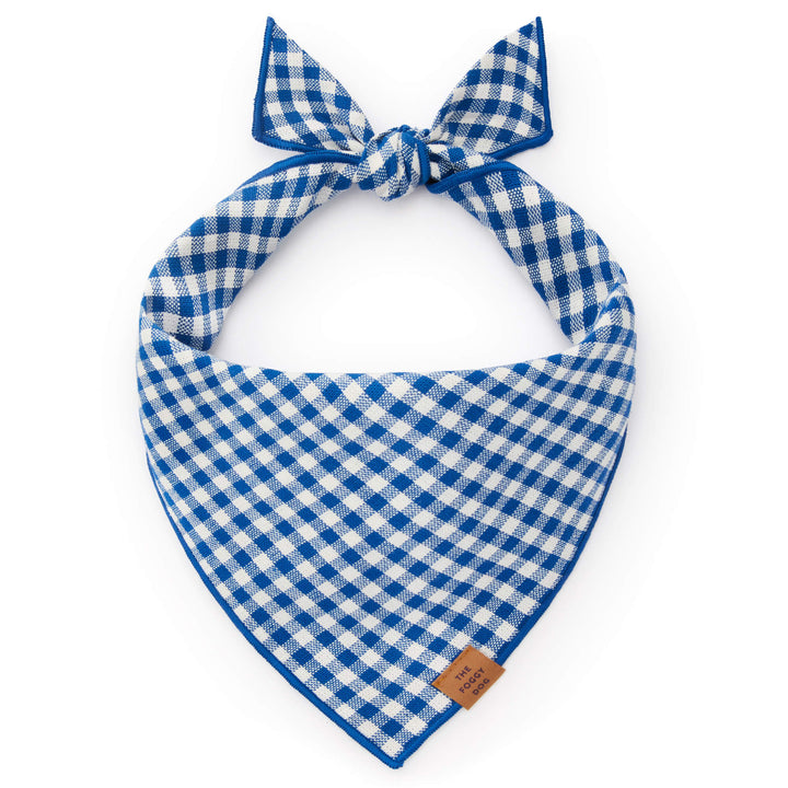 Lake blue gingham dog bandana with a dark blue merrow hem
