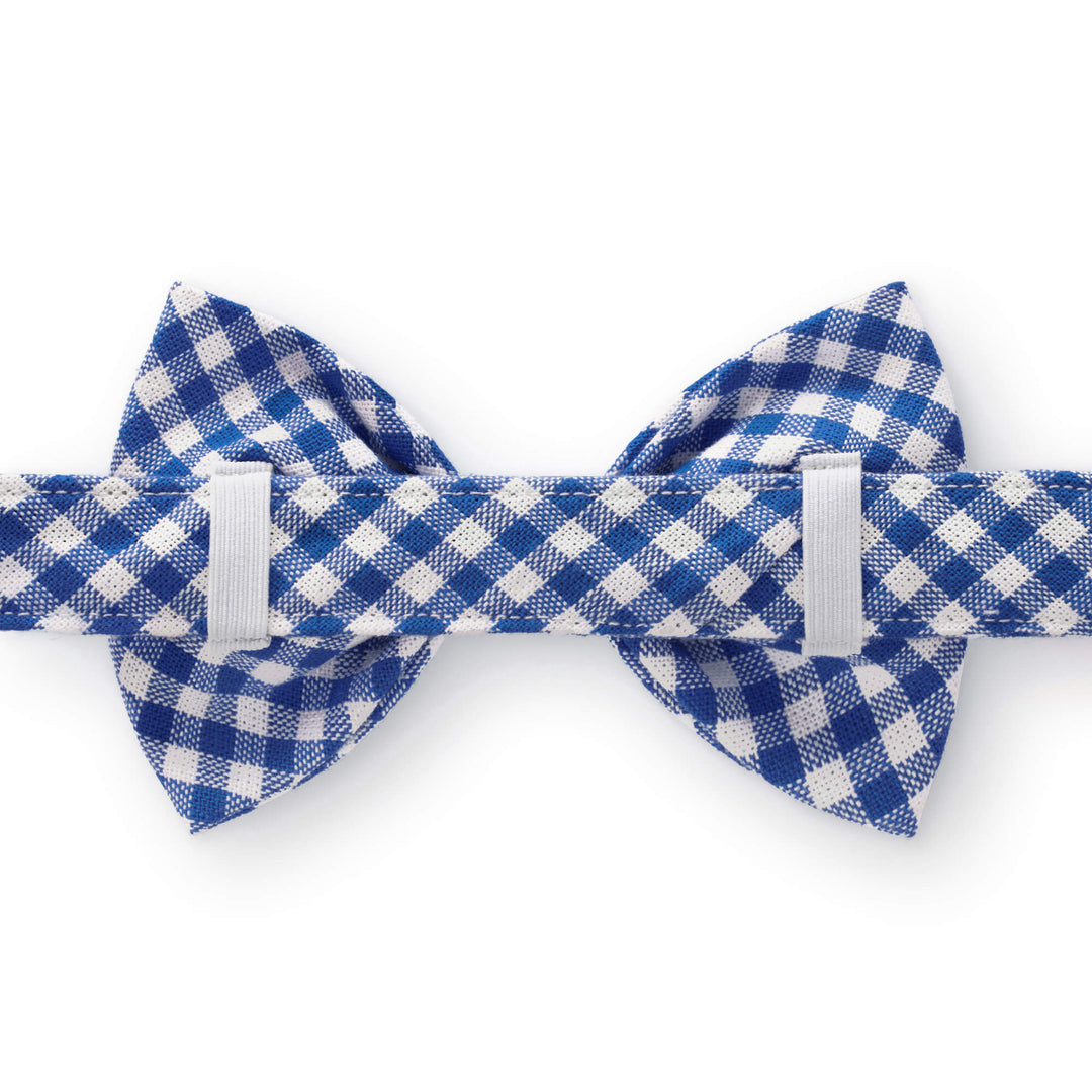 Lake Blue Gingham Bow Tie Collar