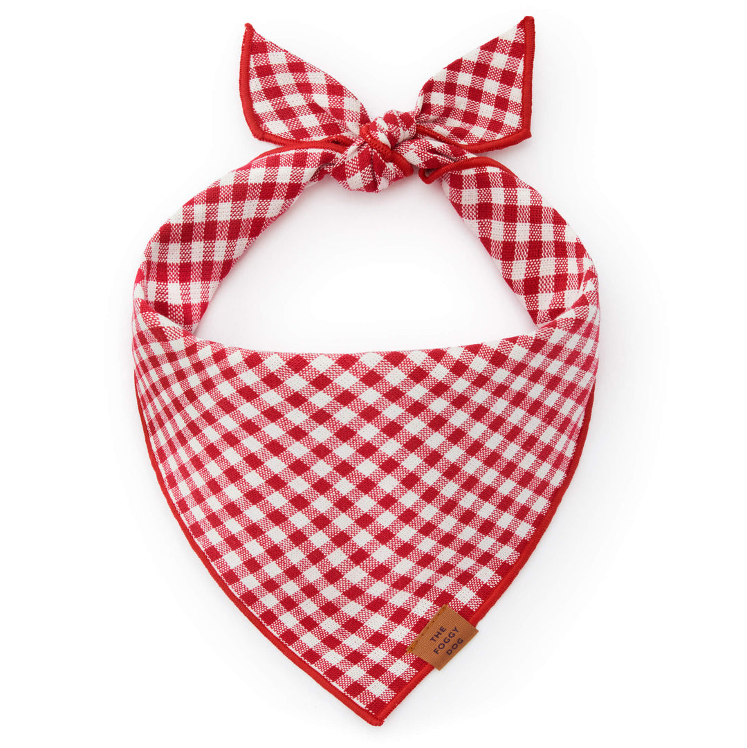 Red gingham dog bandana in an easy triangle-tie shape, laid flat