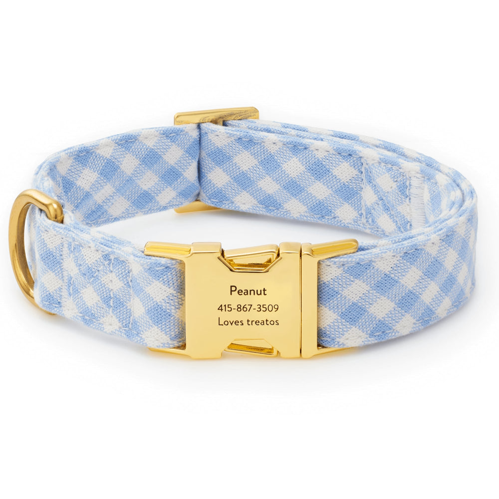 Light blue gingham collar with a gold buckle engraved with a sample pet name and phone number