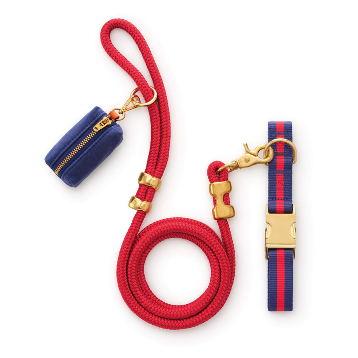 Mariner striped dog collar and matching leash walk set