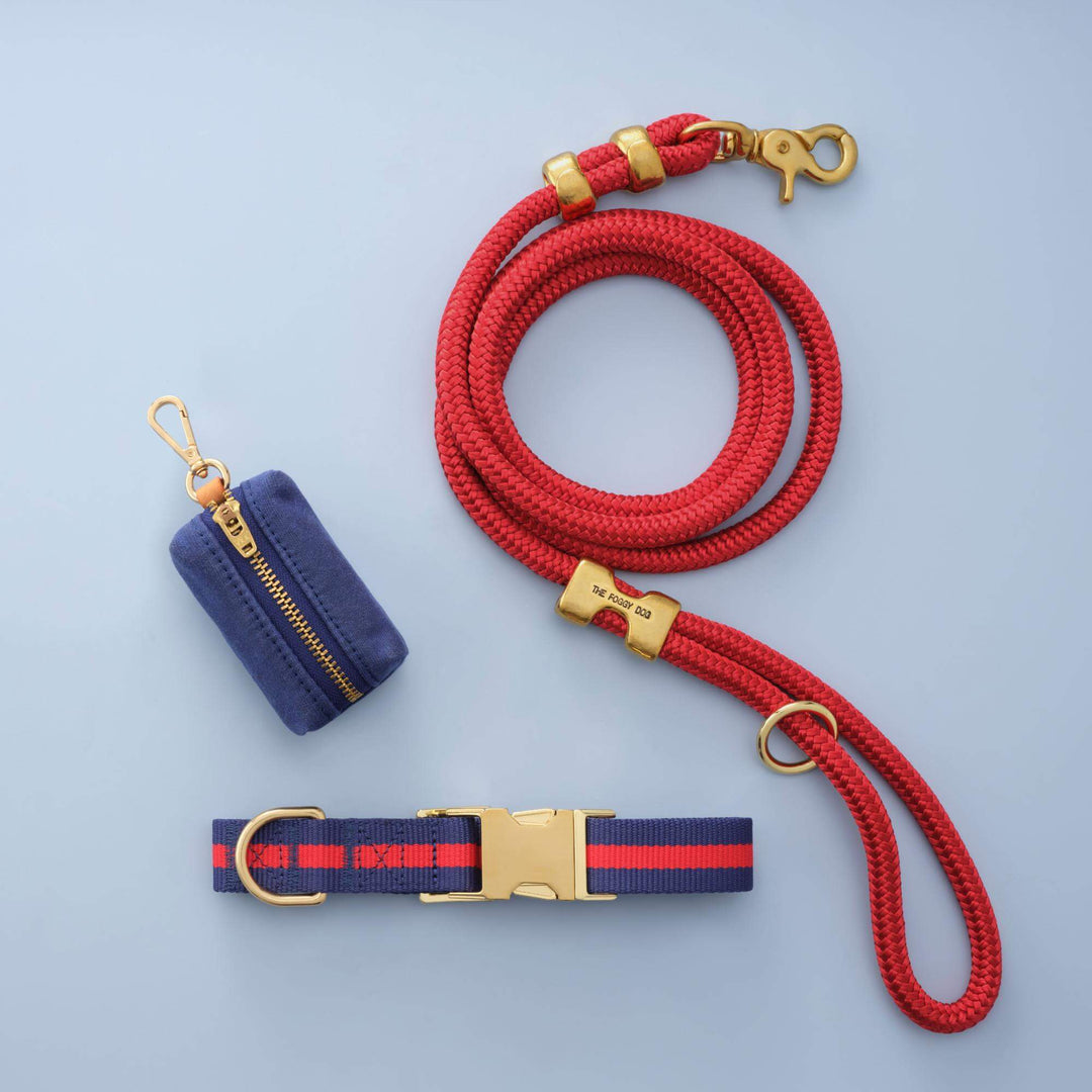 Mariner striped collar and leash set shown in its colorway