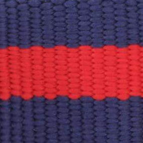 Back of the Mariner striped collar from the walk set