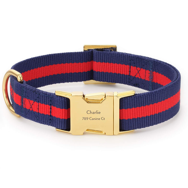 Mariner nautical striped dog collar, front view with brass D-ring