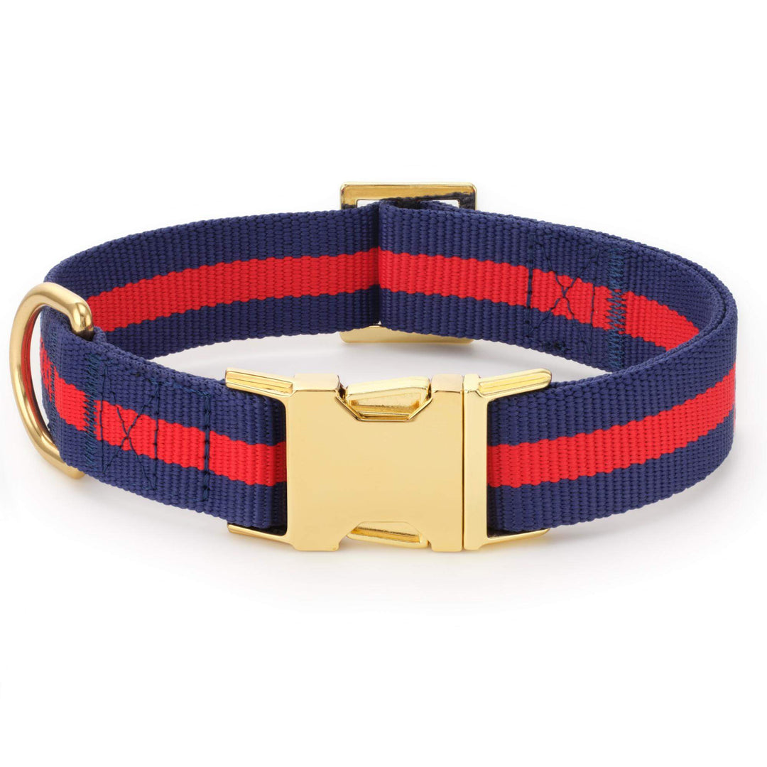 Mariner striped collar from the walk set, front view