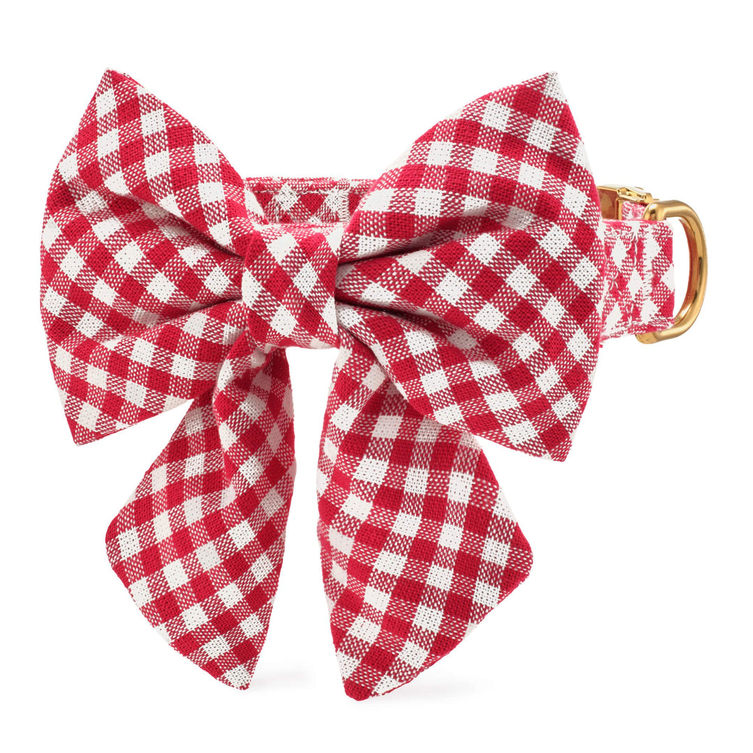 Red gingham dog collar with a removable lady bow, front view
