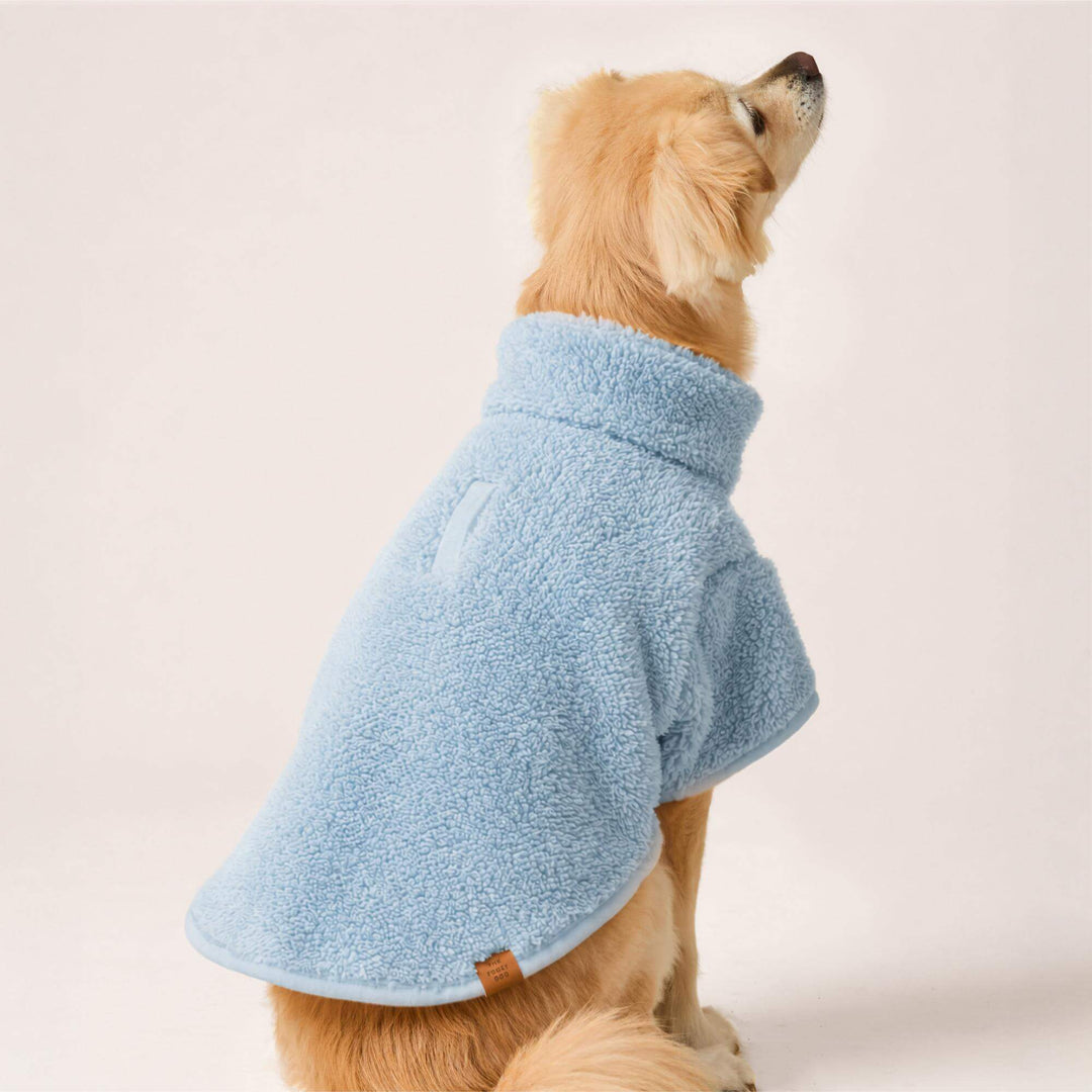 Golden dog from behind in the light blue sherpa jacket, looking up, cream backdrop