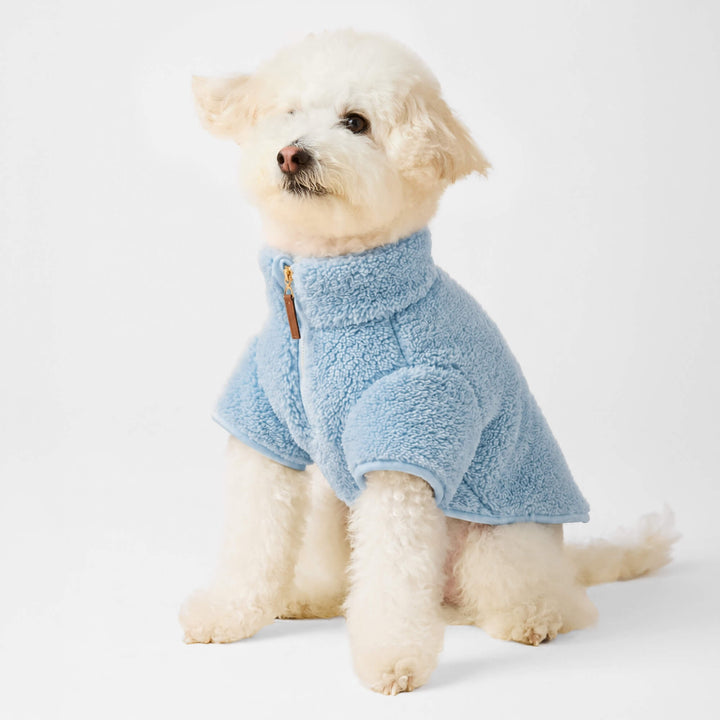 White poodle mix sitting in the cornflower blue sherpa quarter-zip dog jacket on a pale gray backdrop