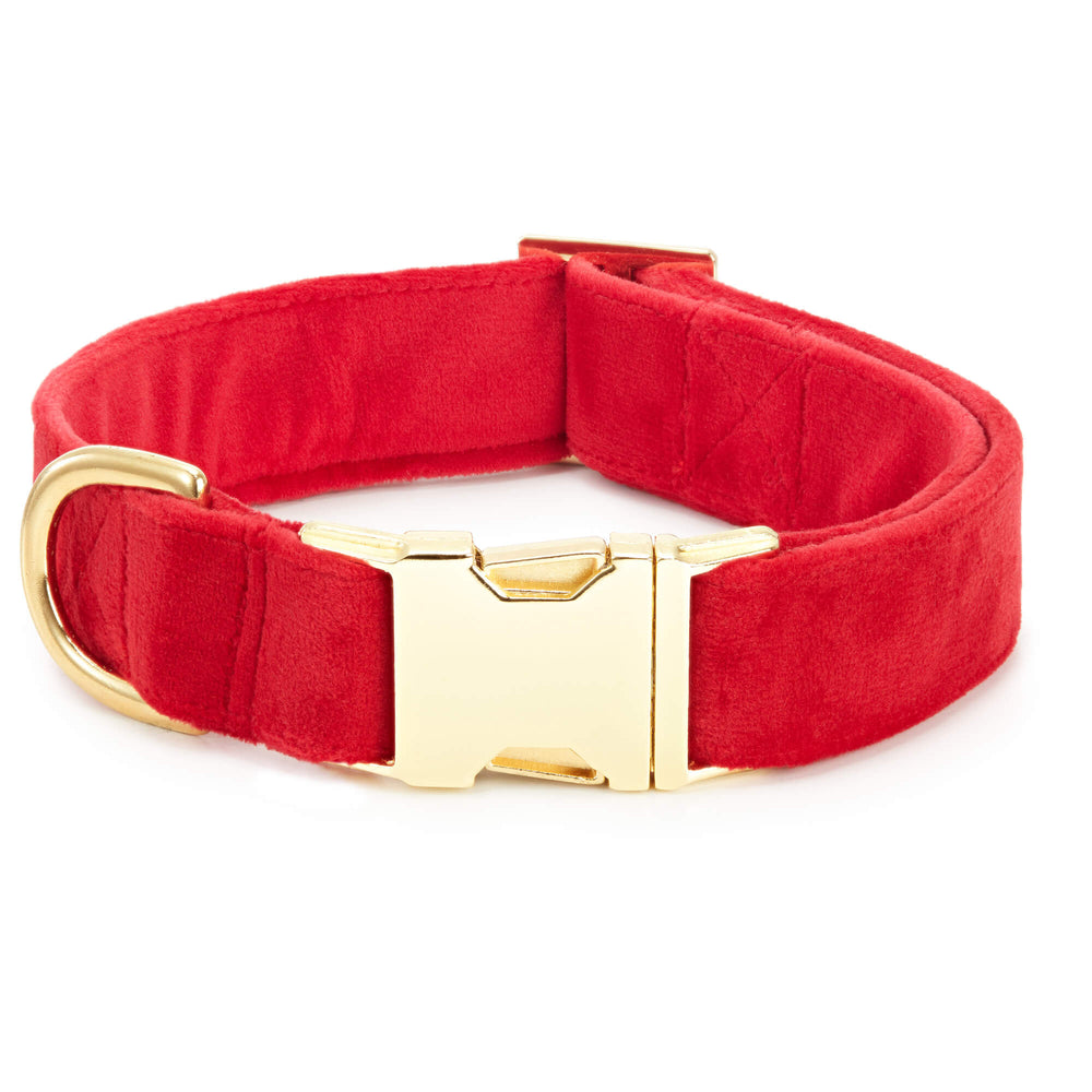 Red plush dog collar with a gold buckle, shown without the bow, on white